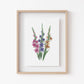 Gladiolus Art Print