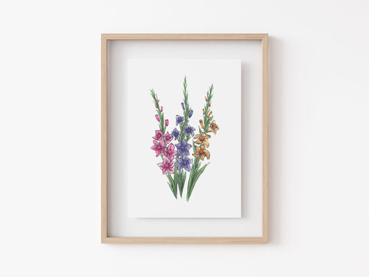 Gladiolus Art Print