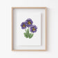Pansy Art Print