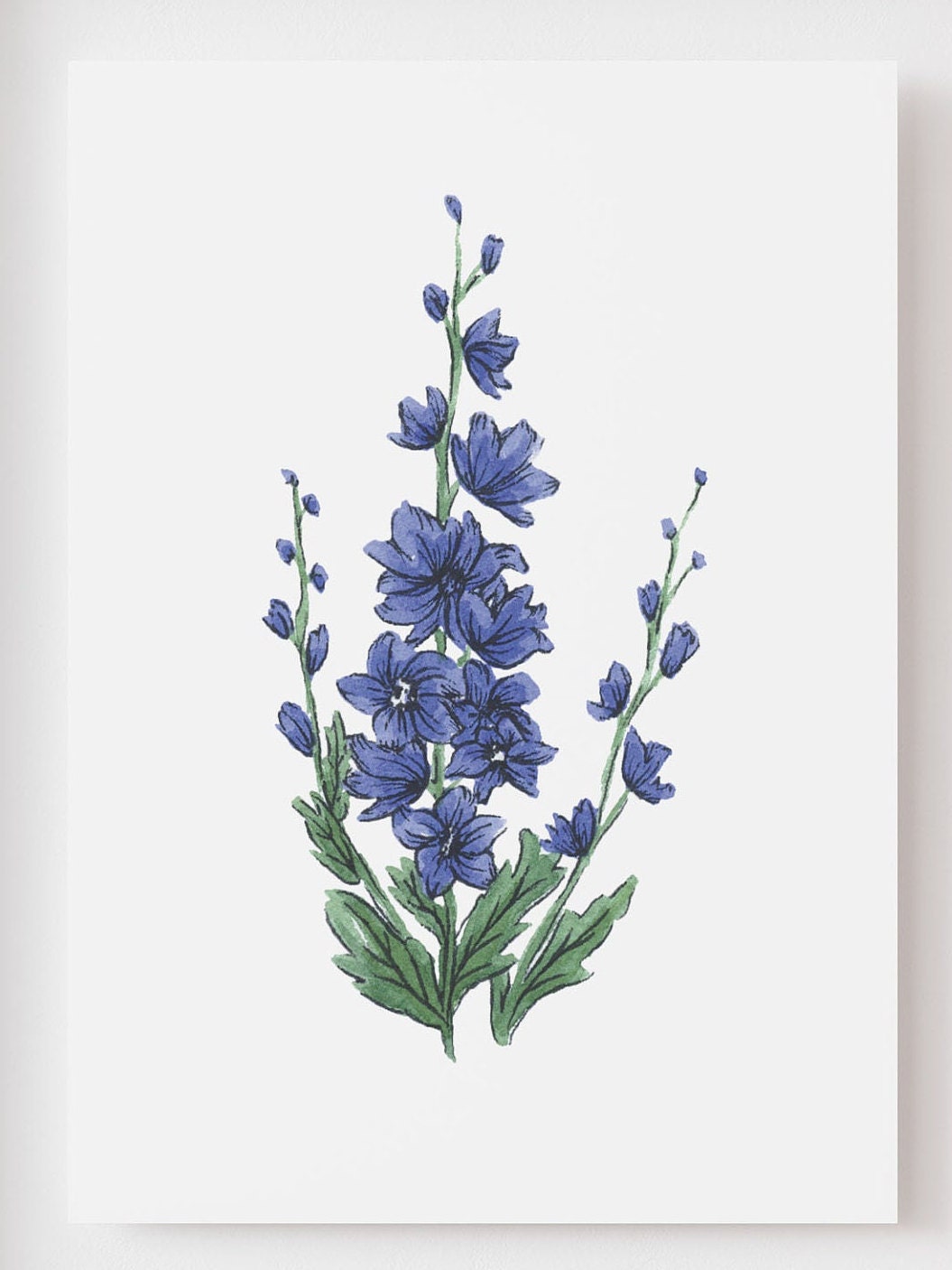 Larkspur Art Print ByCarolineAnn