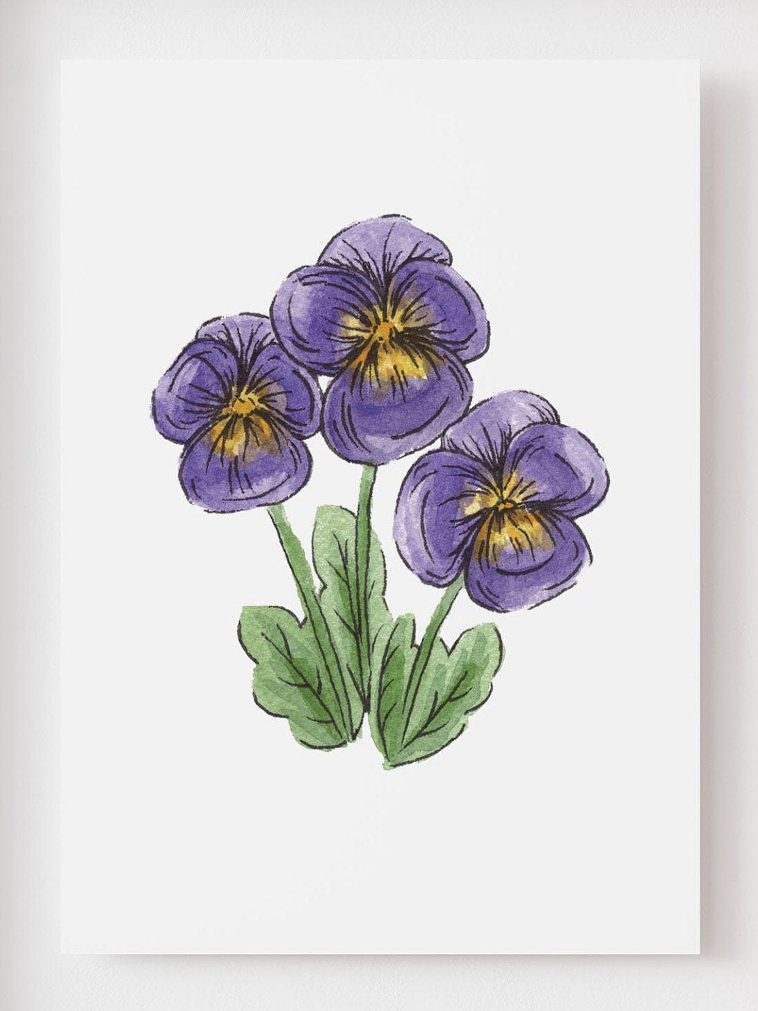 Pansy Art Print