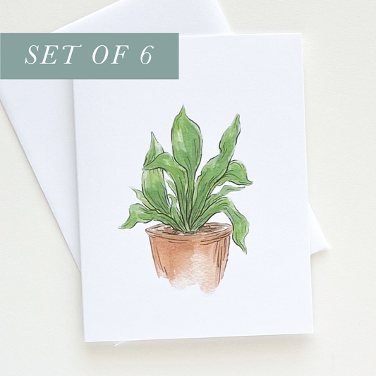 Set of 6 Staghorn Plant Greeting Cards